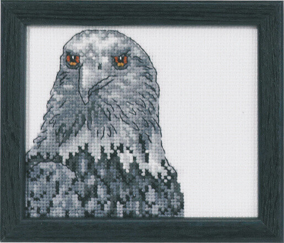 Kirjontapaketti Kotka R5497 9 x 11 cm