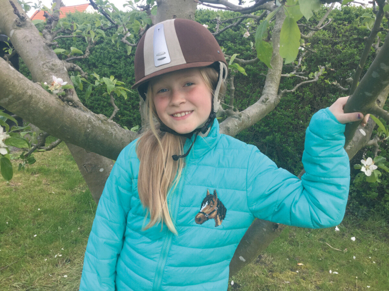 Kirjontapaketti Hevosenpää 7 x 9 cm