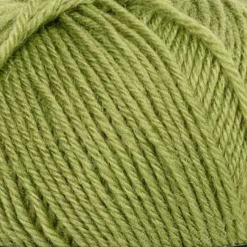 Mayflower 1 Class 13 Kaspianmeri