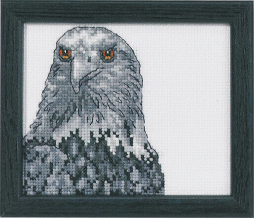 Kirjontapaketti Kotka R5497 9 x 11 cm