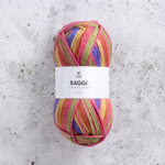 Järbo Raggi 100g 15254 Color Grading