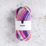 Järbo Raggi 100g 15221 Passion Fruit