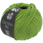 Cool Wool Big 1022 Apilavihreä