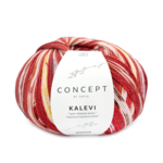 Katia Concept Kalevi Socks 204 Punainen-Ruskea-Keltainen-Ruosteenpunainen