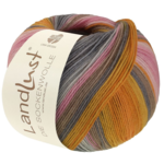 Lana Grossa Landlust Die Sockenwolle 132 Oranssi/Keltuainen/Lohenoranssi/Harmaa/Harmaabeige/Haalea roosa/Roosa/Neilikka/Vaaleanharmaa raidallinen