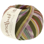 Lana Grossa Landlust Die Sockenwolle 716 Kanelinruskea/Vaaleanpunainen/Ecru/Oliivi/Keltainen/Mintunvihreä/Laventeli