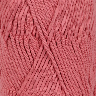 18 Vanha pinkki