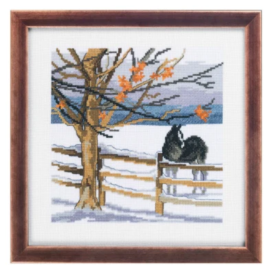 Kirjontapaketti Hevonen 25 x 25 cm R5388