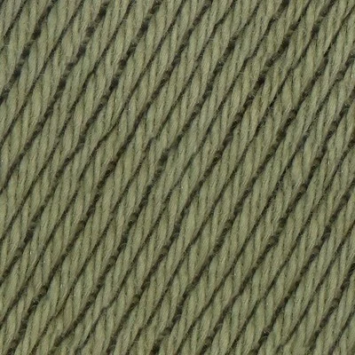 090 Oliivi