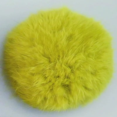 04 Lime