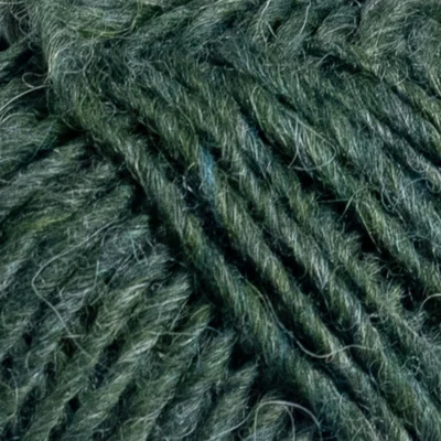 1706 Lyme grass