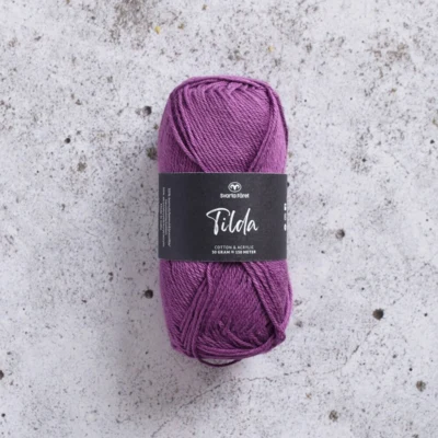563 Orkidea violetti