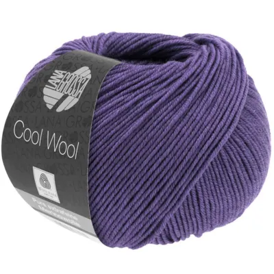 2100 Puna-violetti