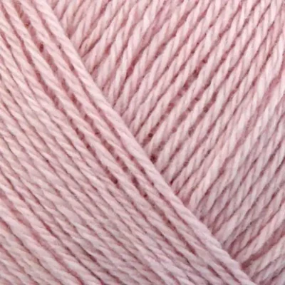 13 Rosa