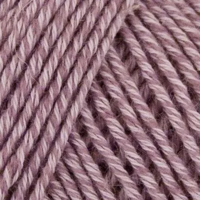 504 Vaalea violetti
