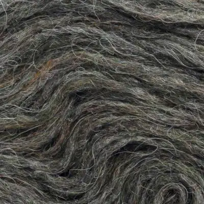 2021 Frost grass