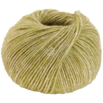 26 Kiwi meleerattu