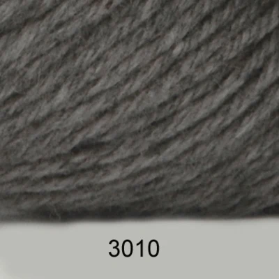 3010 Hopeanharmaa