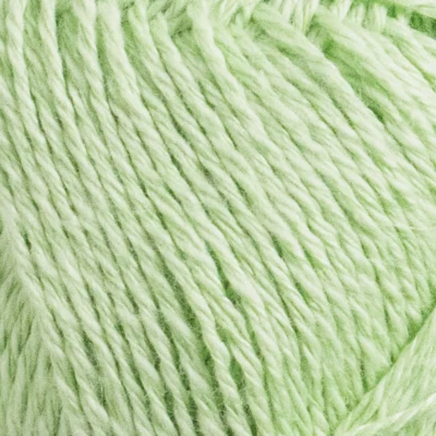 45 Green basilisk