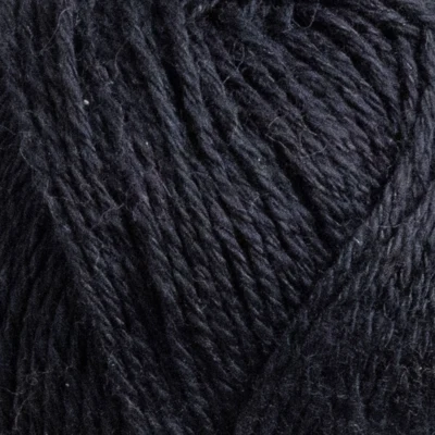 30 Black raven