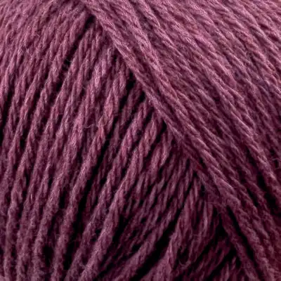 29 Cassis