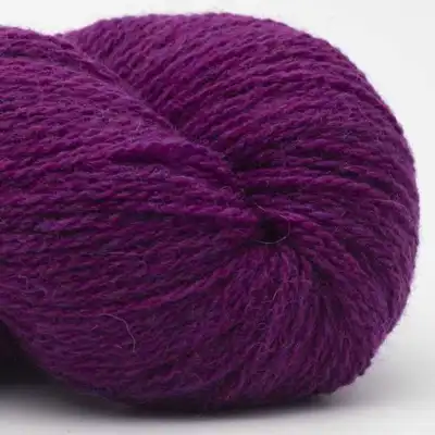 27 Fuksia