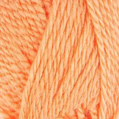 7242 Hullu Cantaloupe