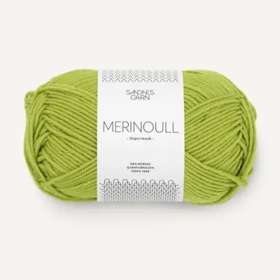 9825 Aurinkoinen Lime