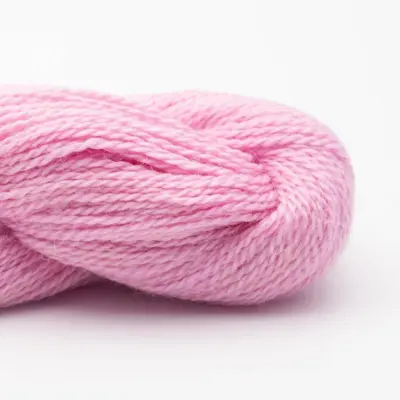 10 Kirkkaanpinkki RAS