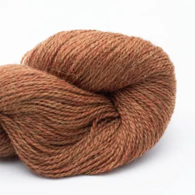 124 Ruosteenruskea RAS
