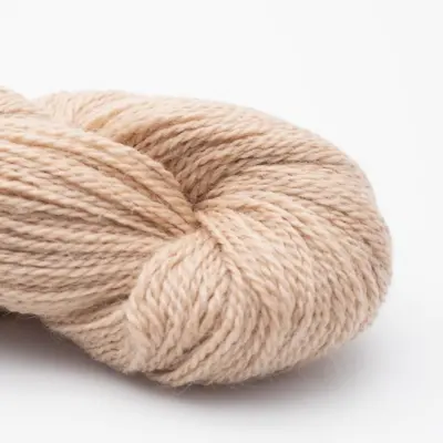 109 Kerma RAS