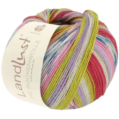 311 Raidat/Jacquard