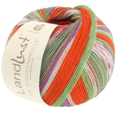 313 Raidat/Jacquard