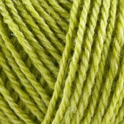 1116 Lime